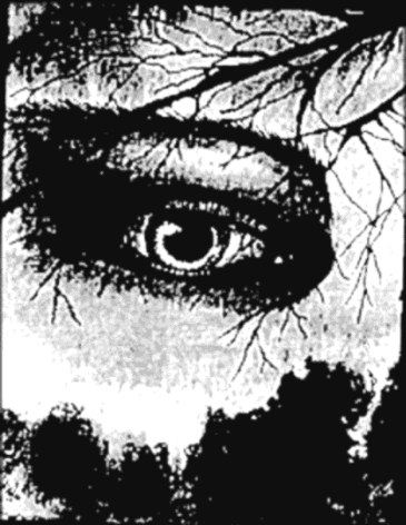 Das Auge (1990)